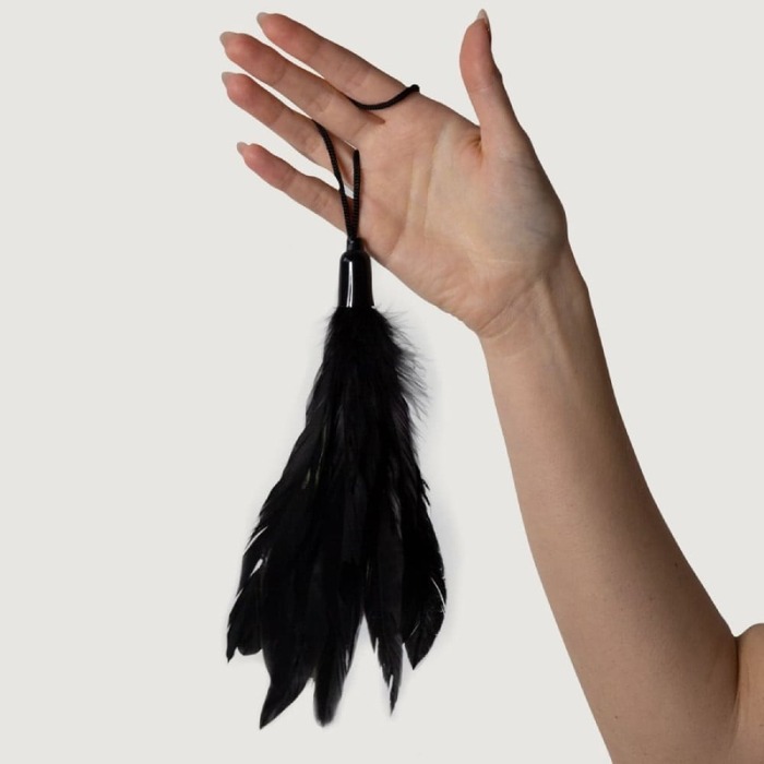 Перья для щекотания Adrien Lastic Prestige черные