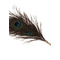 Перо Павлина Taboom DONA Peacock Tickler на длинной ручке