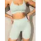Шорти Ryderwear Stonewash Scrunch Seamless Shorts - Mint Stonewash
