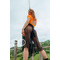 Комплект для pole dance ArtGO Sport Wild: crop-top та кюлоти з біфлексу